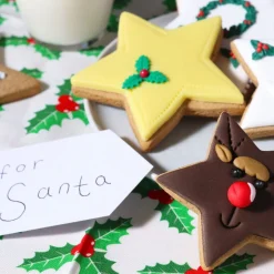 PME Koekjes Uitstekers Sterren Set/3* Figuur Stekers