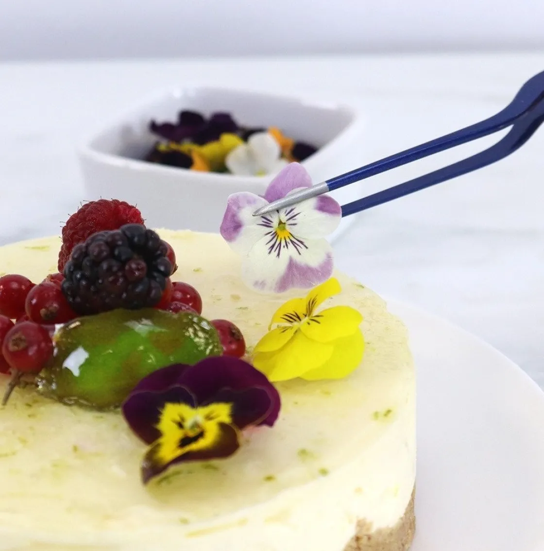 PME Presentatie Pincet (Tweezer) 16,5cm* Scalpels En Pincetten