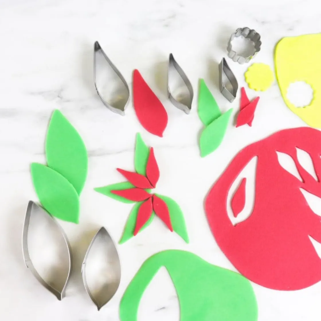 PME Uitstekerset Poinsettia Set/6* Bloem En Blad Stekers