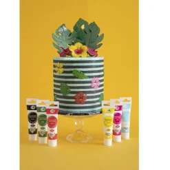 Rainbow Dust RD Kleurstof ProGel Essentials Multipack Set/6* Gel Kleurstoffen