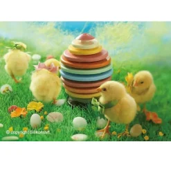 Silikomart Chocolade Vormset Ei Ø305x15(h)mm*** Vormsets