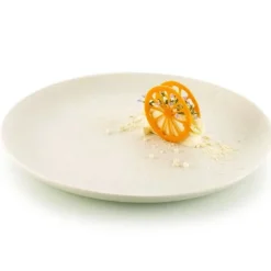 Silikomart Siliconen Mat Citroen/Sinaasappel (24x) Ø6x0,2cm* Ijs En Dessert Vormen|Figuur Mallen