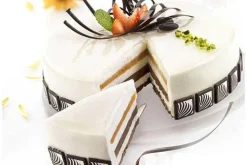 Silikomart Siliconen Taartvorm Rond Ø20x5cm* Ijs En Dessert Vormen|Bakvormen Siliconen