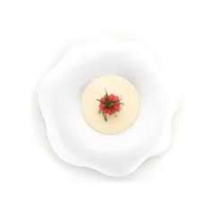 Silikomart Siliconen Vorm Tomaat (12) Ø43x28mm* Ijs En Dessert Vormen|Bakvormen Siliconen