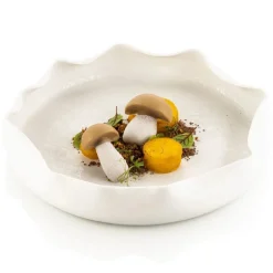 Silikomart Siliconen Vorm Paddenstoel (16x) 3,6x5,9cm* Ijs En Dessert Vormen|Bakvormen Siliconen