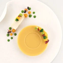 Silikomart Siliconen Vorm Piatto (6x) Ø11,5x1,5cm*** Bakvormen Siliconen|Ijs En Dessert Vormen