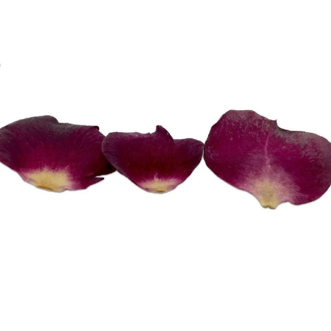 Sosa Gevriesdroogde Rozenbladeren 5g (560 stuks)* Bloem Decoraties