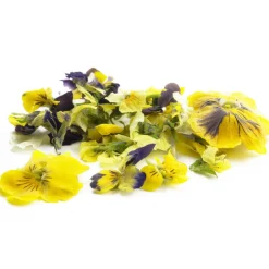 Sosa Gevriesdroogde Violen 5g (290 stuks)* Bloem Decoraties