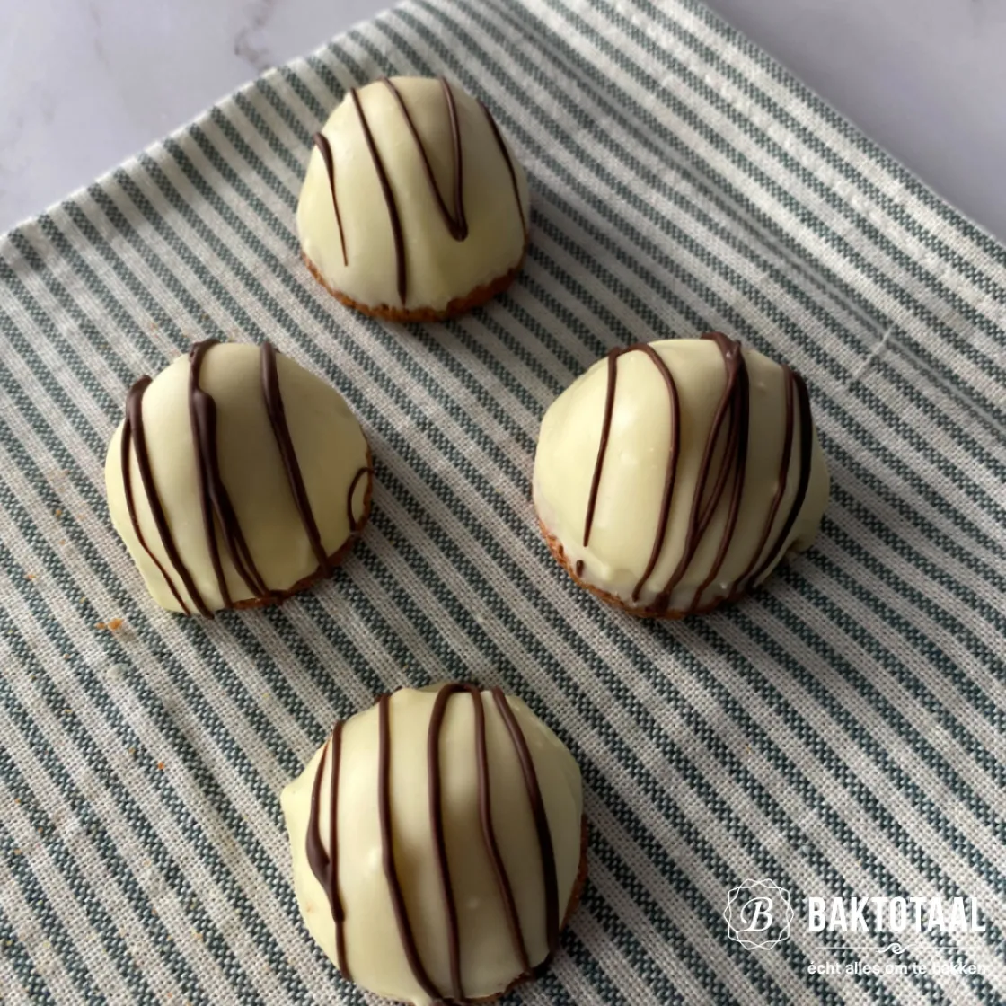 Overig Spuitmondje Glad RVS 10mm* Spuitmondjes