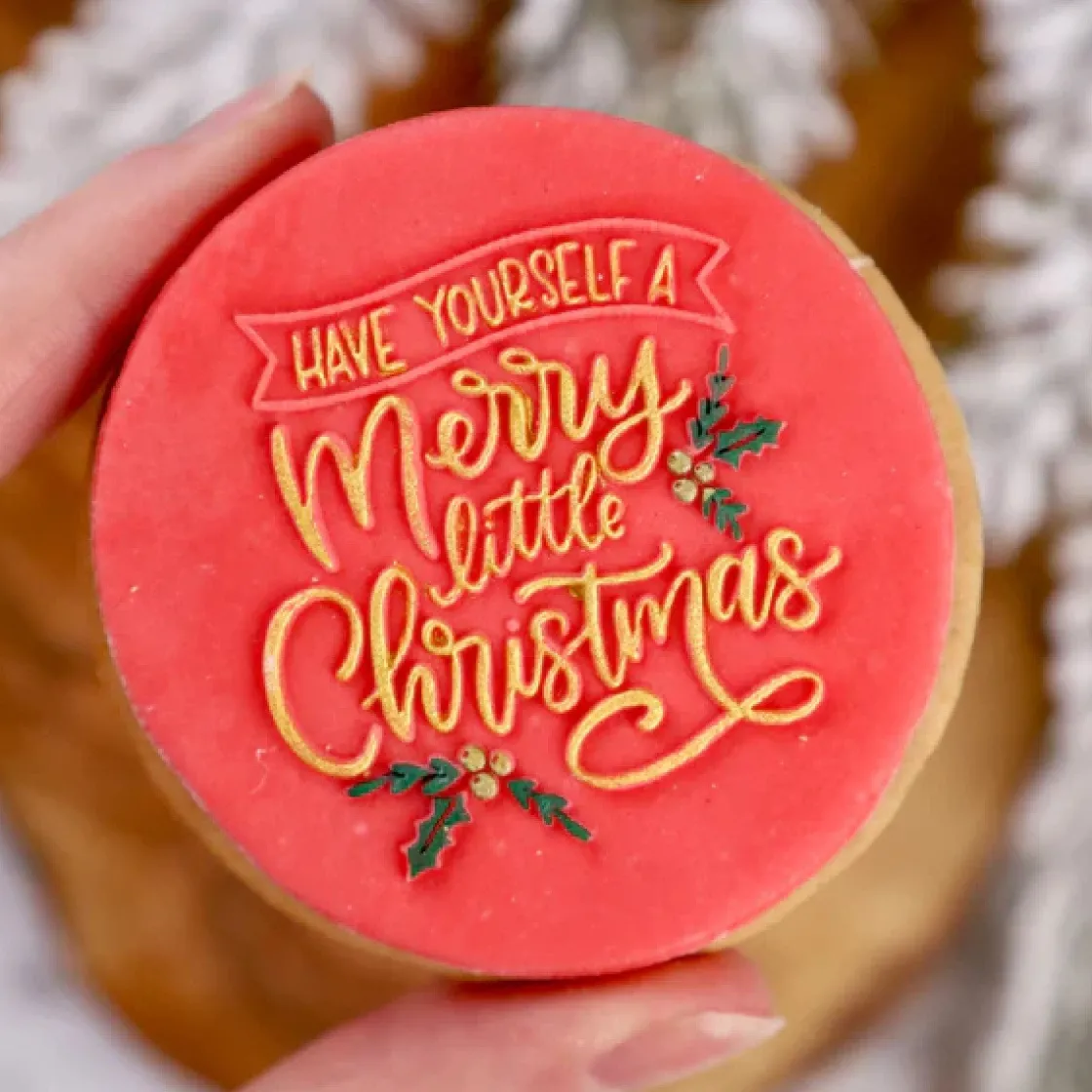 Sweet Stamp Outboss Have Yourself a Merry Little Christmas* Stempels