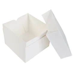 BrandNewCake Taartdoos 20x20x15cm. Wit 50st* Taartdozen