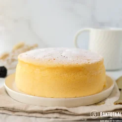 PME Taartpan rond Ø17,5 x 10cm* Ronde Bakvormen