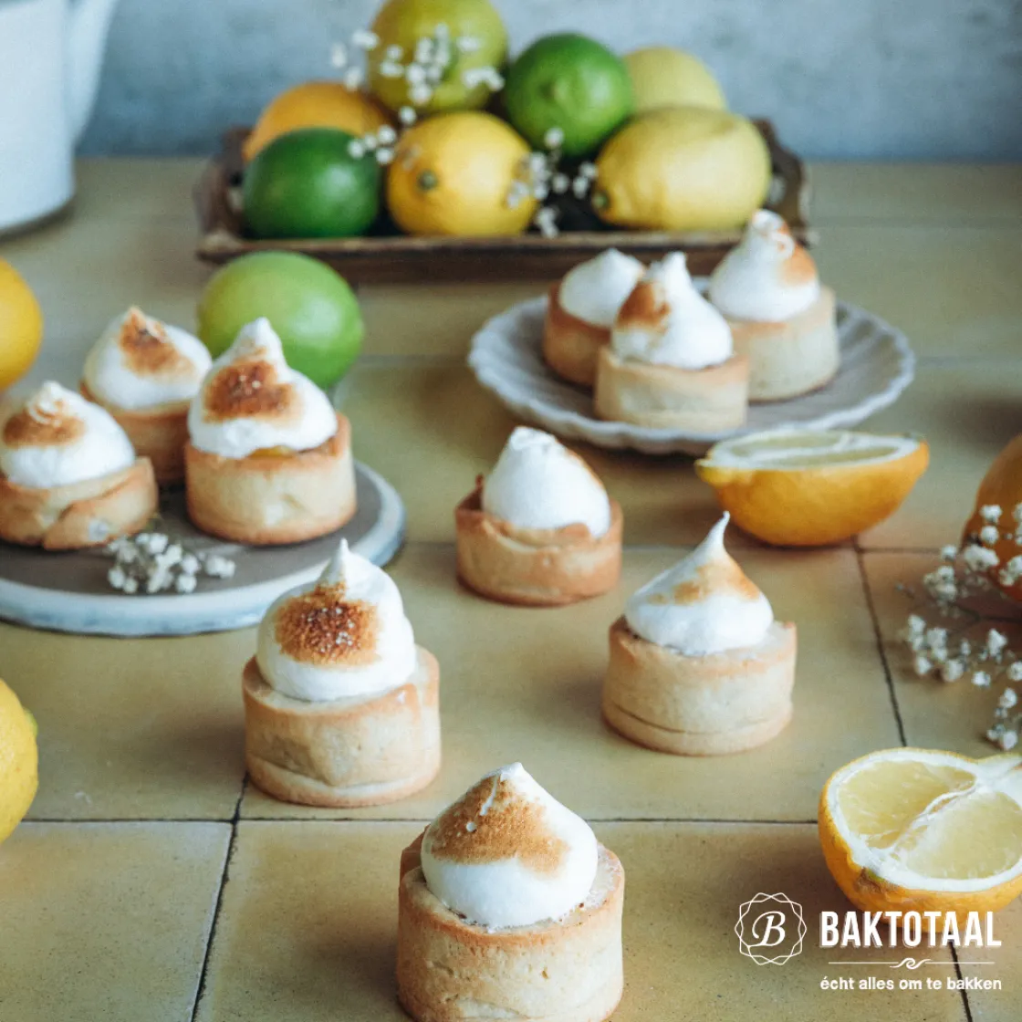 Overig Uitsteker Prof. Rond Glad RVS Ø5cm* Figuur Stekers