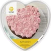 Wilton Bakvorm Hart 25x5cm* Speciale Bakvormen
