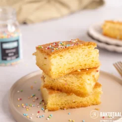 Wilton Biscuit/Brownie Bakvorm 27,5x17,5cm* Rechthoekige Bakvormen