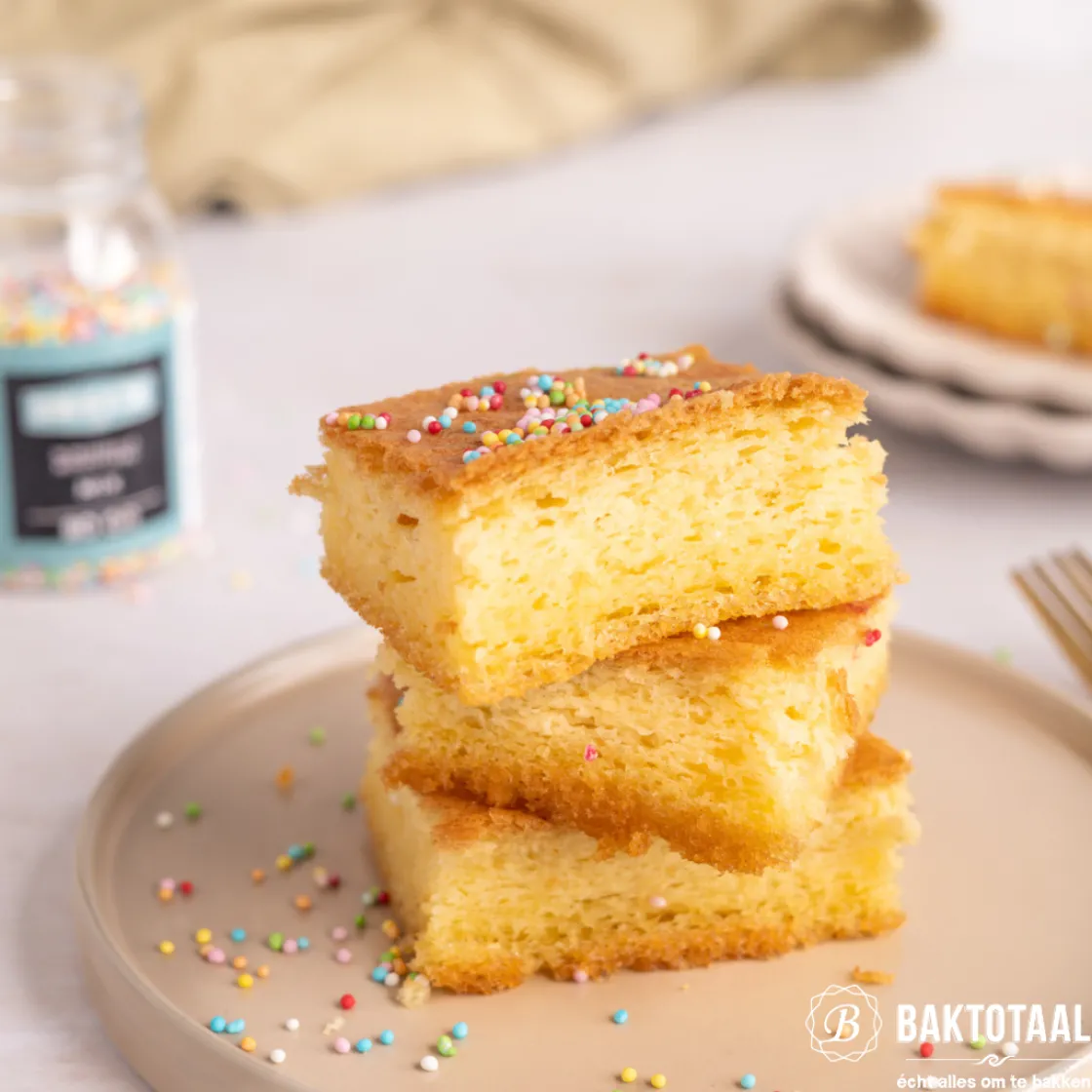 Wilton Biscuit/Brownie Bakvorm 27,5x17,5cm* Rechthoekige Bakvormen