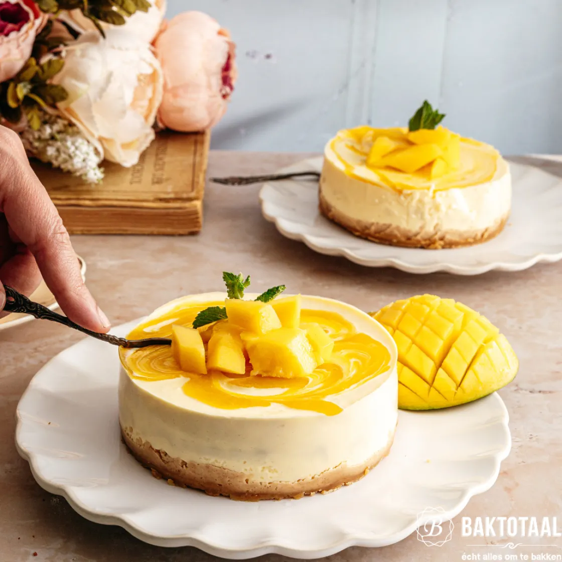 Wilton Mini Springvormen Ø10cm Set/3* Ronde Bakvormen