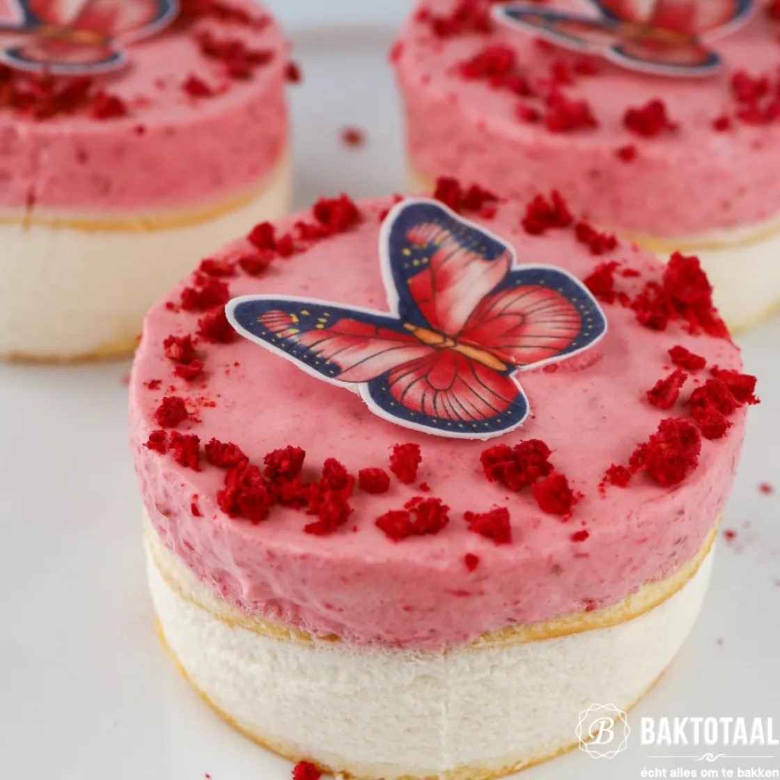 Wilton Mini Springvormen Ø10cm Set/3* Ronde Bakvormen