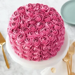 Wilton Performance Taartpan Rond Ø20x5cm* Ronde Bakvormen