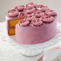 Wilton Performance Taartpan Rond Ø25x5cm* Ronde Bakvormen