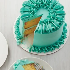 Wilton Performance Taartpan Rond Ø15x5cm* Ronde Bakvormen