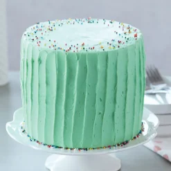 Wilton Performance Taartpan Rond Ø15x5cm* Ronde Bakvormen