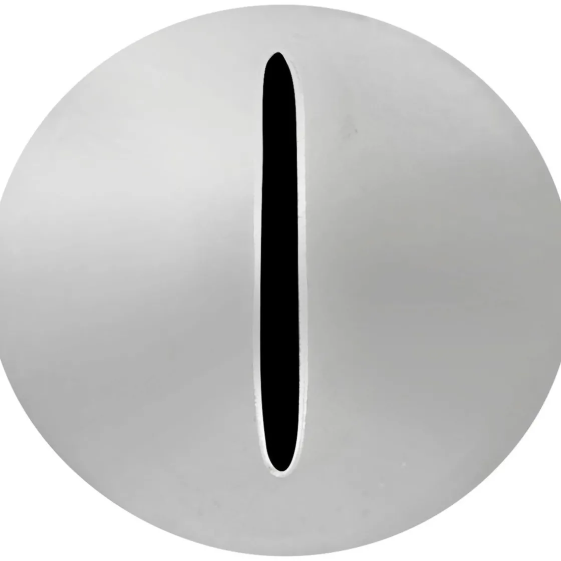 Wilton Spuitmondje #150* Spuitmondjes