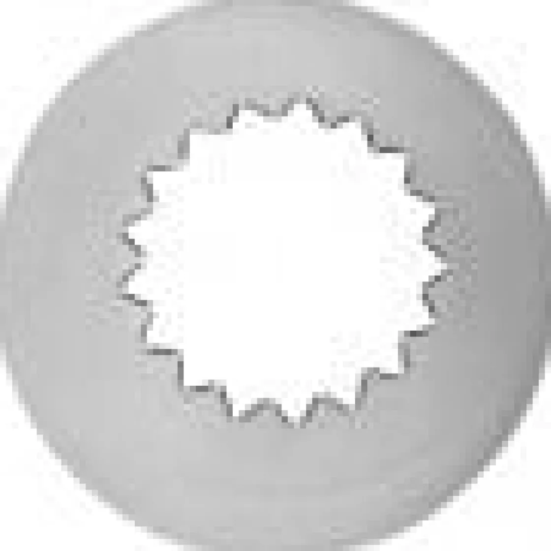 Wilton Spuitmondje 8B* Spuitmondjes