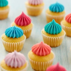 Wilton Spuitmondje #6B en Spuitzakken Set/3* Spuitmondjes