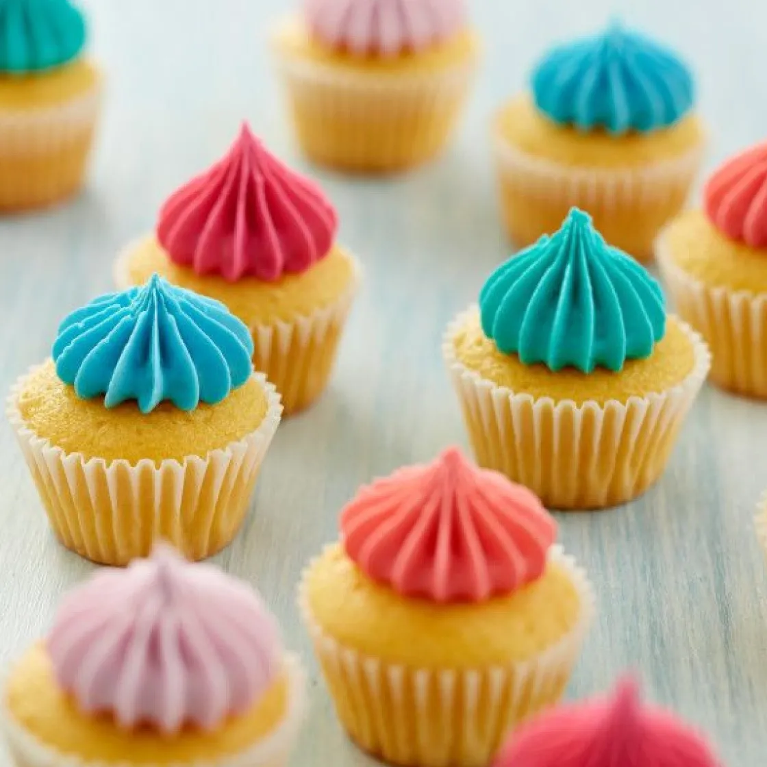 Wilton Spuitmondje #6B en Spuitzakken Set/3* Spuitmondjes