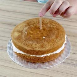 PME Wooden Dowel 12 stuks* Dowels En Pilaren|Bakhulpmiddelen